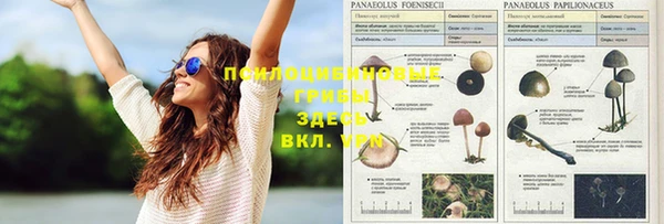 кокаин VHQ Болхов