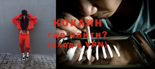 apvp Болотное