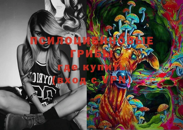 apvp Болотное