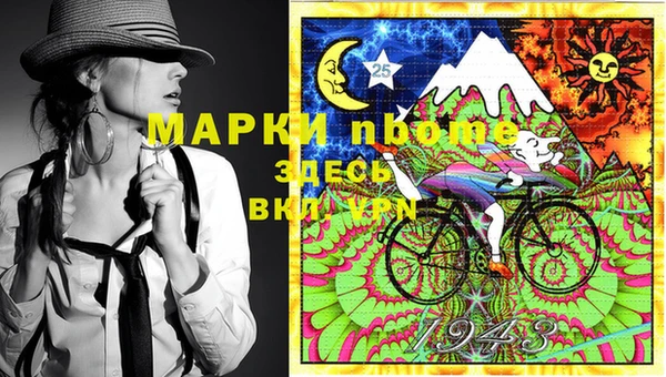 apvp Болотное
