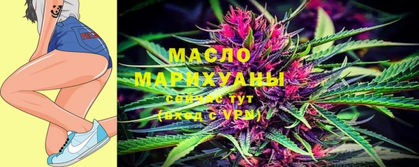 индика Фурманов