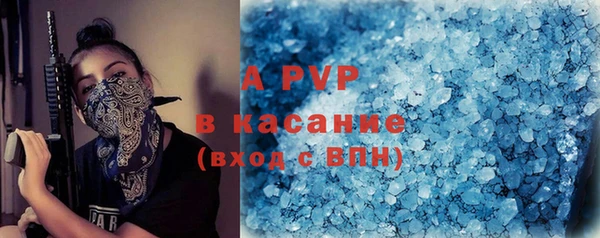 индика Фурманов