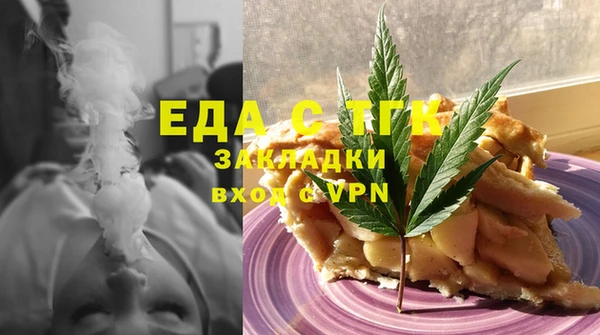 индика Фурманов