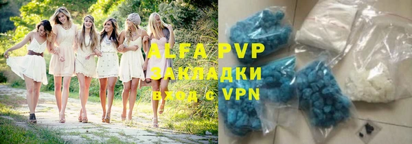 индика Фурманов