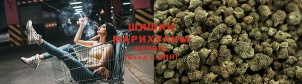 соль ск Болохово