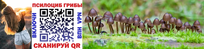 Галлюциногенные грибы Psilocybine cubensis  Яровое 